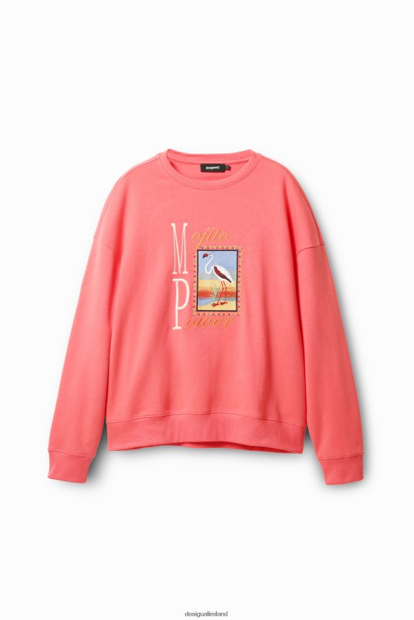 Desigual Men Flamingo embroidery sweatshirt Clothing PFVZ0B1638